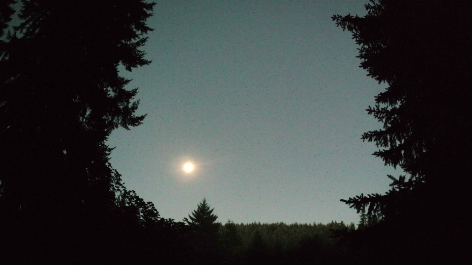 Pacific Northwest skyline timelapse frame from Jul 31st, 2026 at 5:15 AM