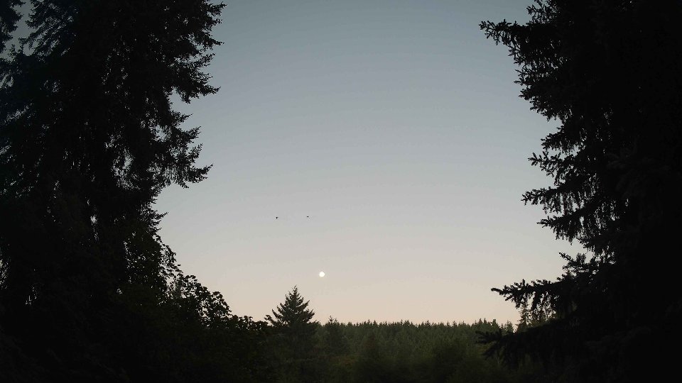 Pacific Northwest skyline timelapse frame from Jul 31st, 2026 at 5:45 AM
