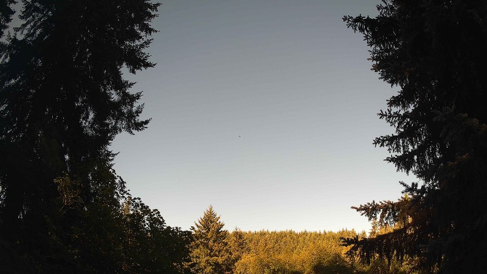 Pacific Northwest skyline timelapse frame from Jul 31st, 2026 at 8:15 AM