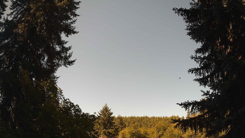 Pacific Northwest skyline timelapse frame from Jul 31st, 2026 at 11:00 AM