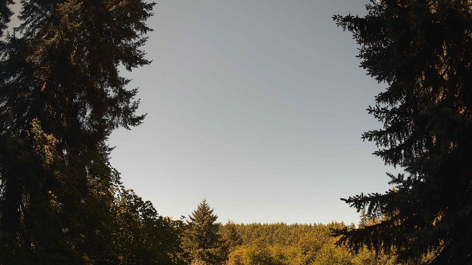 Pacific Northwest skyline timelapse frame from Jul 31st, 2026 at 11:15 AM