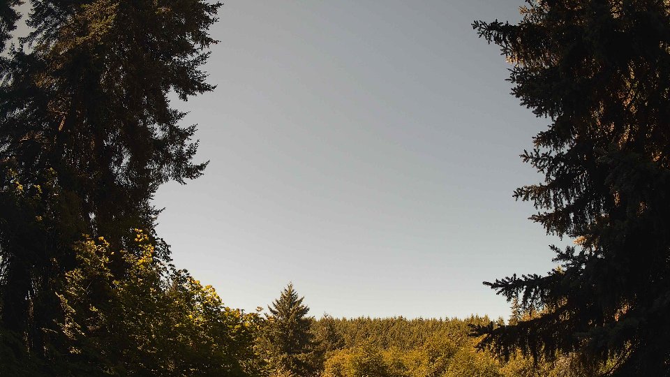 Pacific Northwest skyline timelapse frame from Jul 31st, 2026 at 11:30 AM