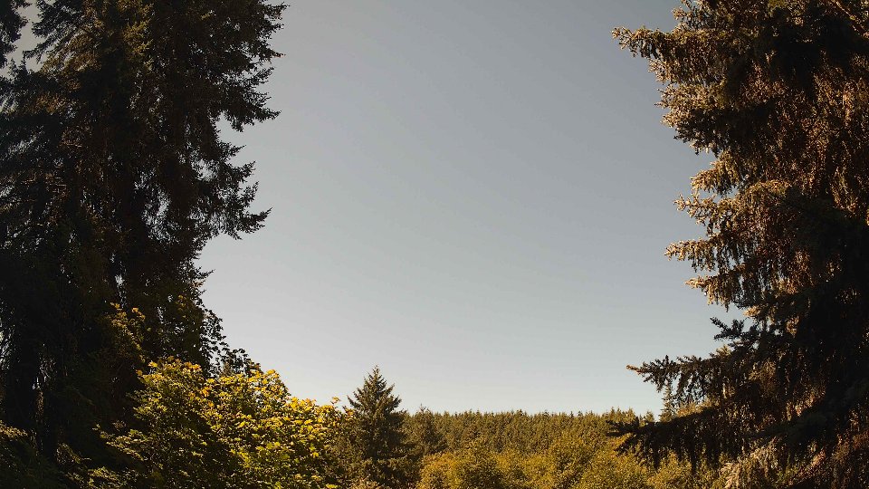 Pacific Northwest skyline timelapse frame from Jul 31st, 2026 at 11:45 AM