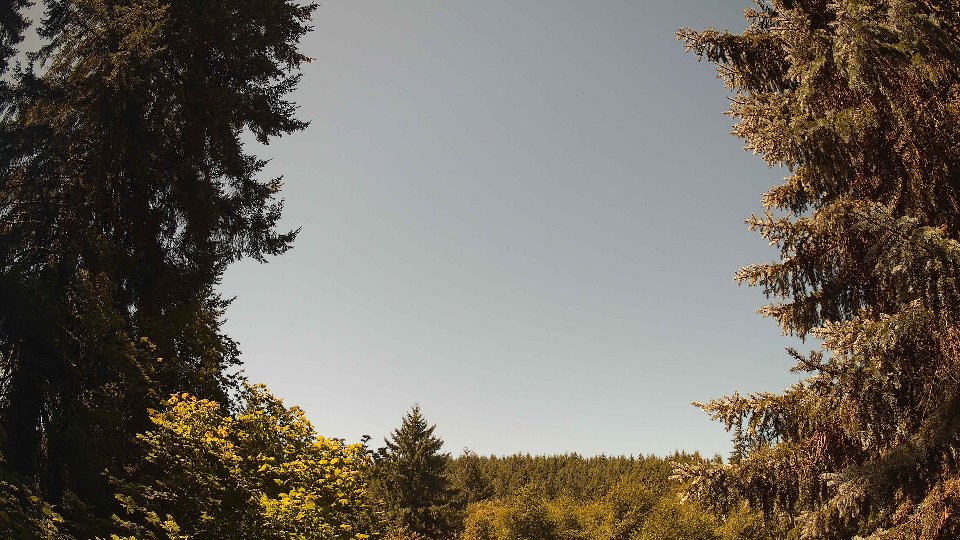 Pacific Northwest skyline timelapse frame from Jul 31st, 2026 at 12:00 PM