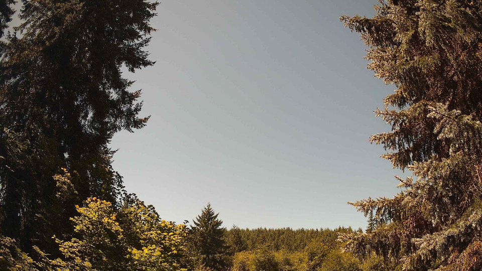 Pacific Northwest skyline timelapse frame from Jul 31st, 2026 at 12:15 PM