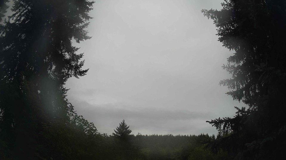 Pacific Northwest skyline timelapse on Aug 01, 2026 at 8:30 AM