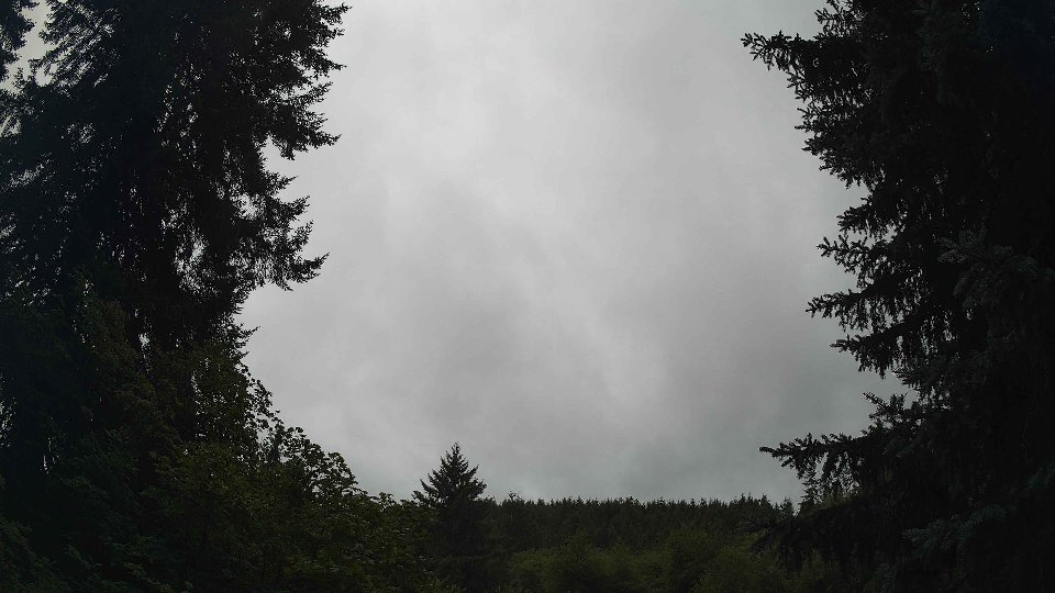 Pacific Northwest skyline timelapse on Aug 01, 2026 at 9:30 AM