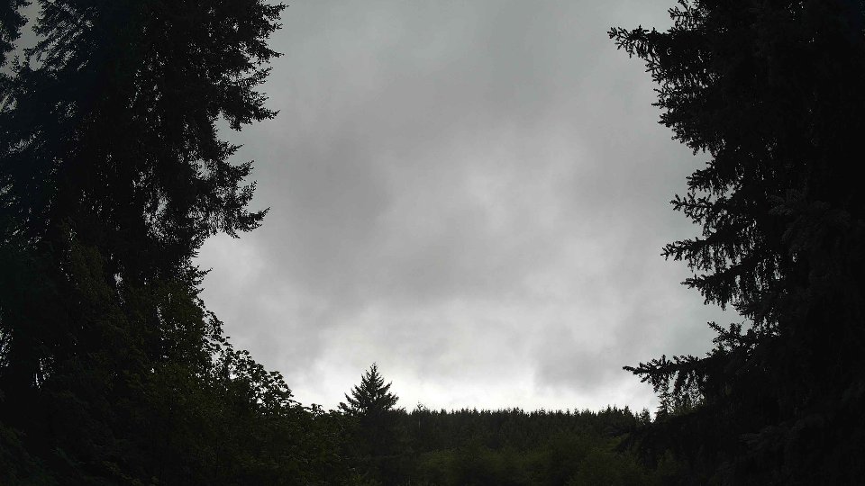 Pacific Northwest skyline timelapse on Aug 01, 2026 at 10:00 AM