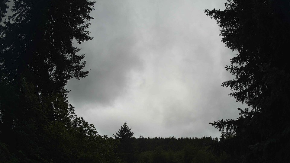 Pacific Northwest skyline timelapse on Aug 01, 2026 at 10:30 AM
