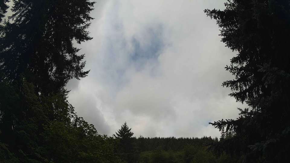 Pacific Northwest skyline timelapse on Aug 01, 2026 at 10:45 AM