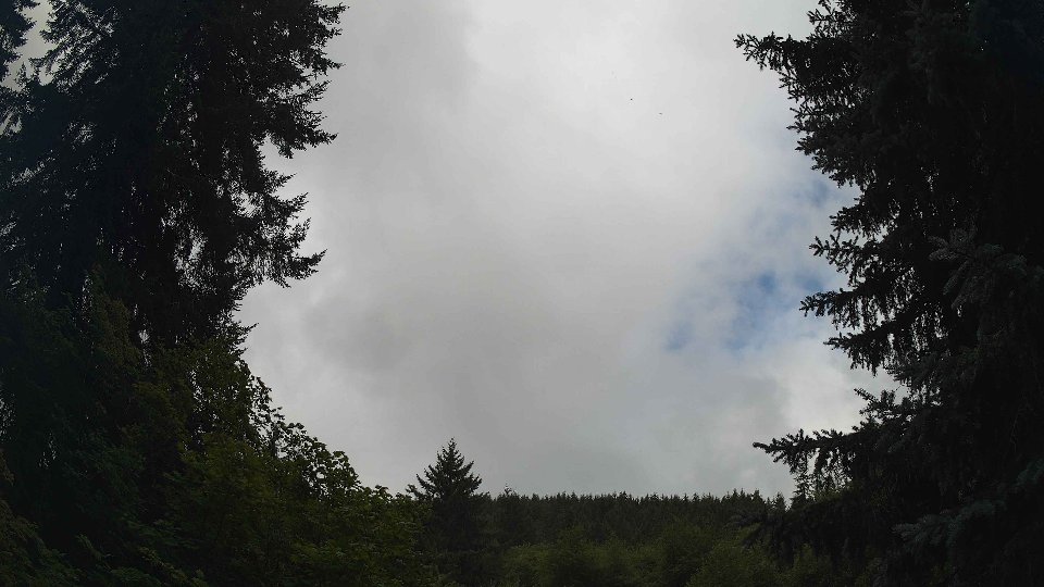 Pacific Northwest skyline timelapse on Aug 01, 2026 at 11:00 AM