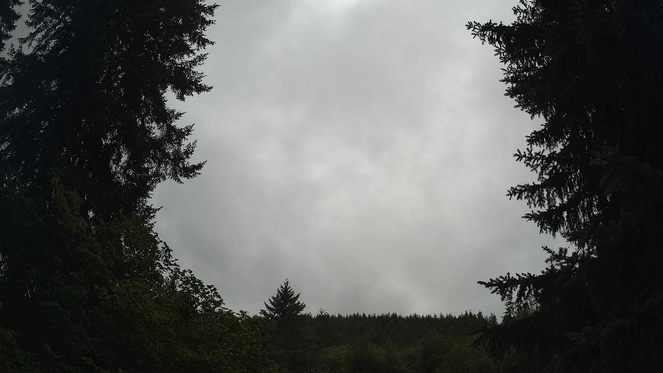 Pacific Northwest skyline timelapse on Aug 01, 2026 at 11:45 AM