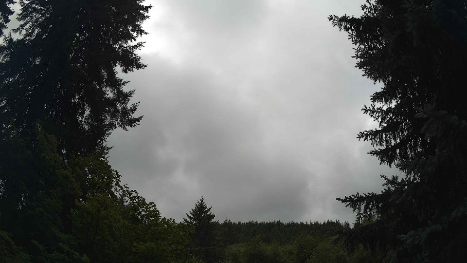 Pacific Northwest skyline timelapse on Aug 01, 2026 at 12:30 PM
