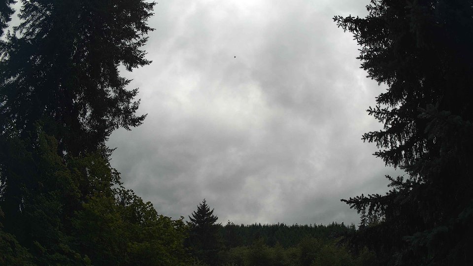 Pacific Northwest skyline timelapse on Aug 01, 2026 at 2:15 PM