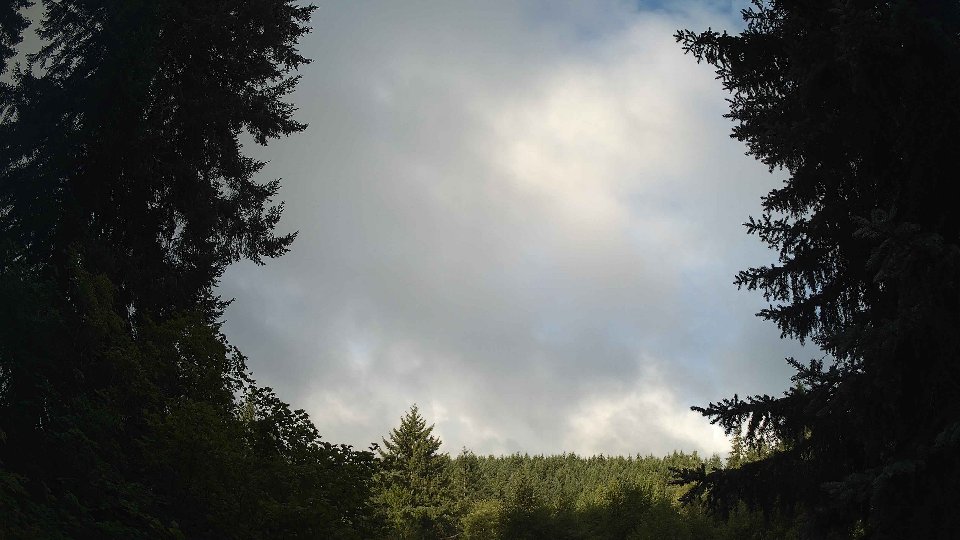 Pacific Northwest skyline timelapse frame from Aug 2nd, 2026 at 7:30 AM