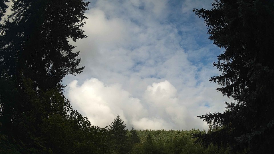 Pacific Northwest skyline timelapse frame from Aug 2nd, 2026 at 8:30 AM