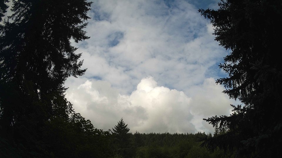 Pacific Northwest skyline timelapse frame from Aug 2nd, 2026 at 9:00 AM