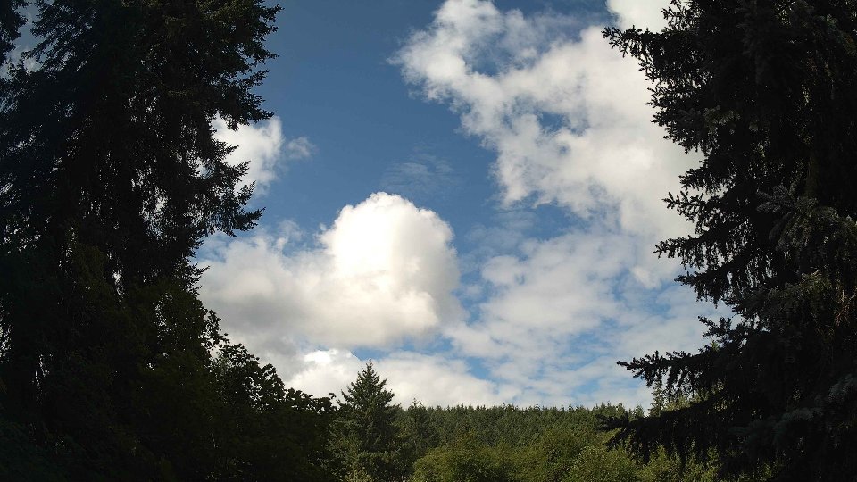 Pacific Northwest skyline timelapse frame from Aug 2nd, 2026 at 10:15 AM