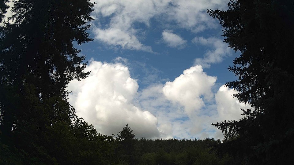 Pacific Northwest skyline timelapse frame from Aug 2nd, 2026 at 10:30 AM