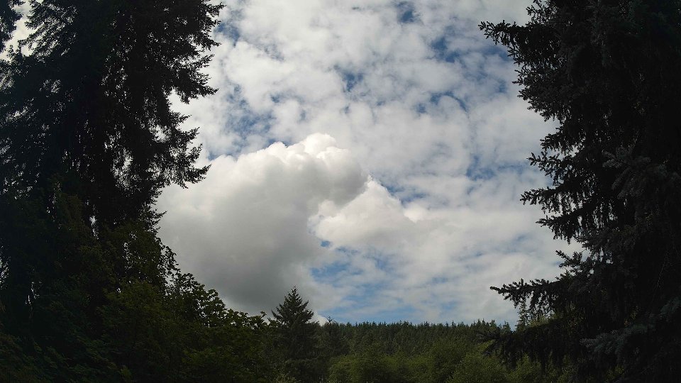 Pacific Northwest skyline timelapse frame from Aug 2nd, 2026 at 11:00 AM