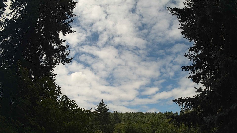 Pacific Northwest skyline timelapse frame from Aug 2nd, 2026 at 11:15 AM