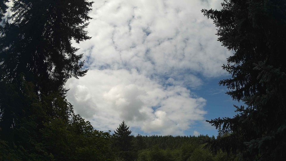 Pacific Northwest skyline timelapse frame from Aug 2nd, 2026 at 11:30 AM