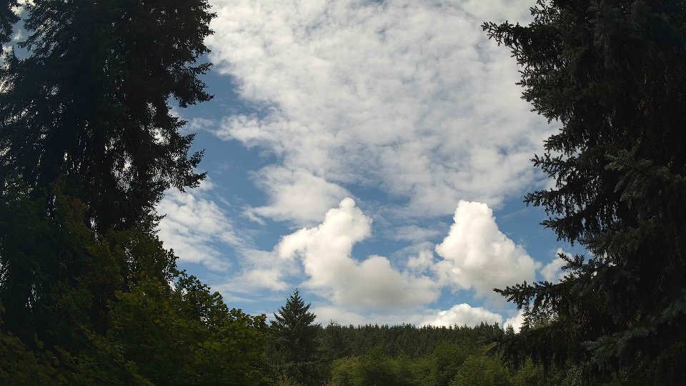 Pacific Northwest skyline timelapse frame from Aug 2nd, 2026 at 11:45 AM