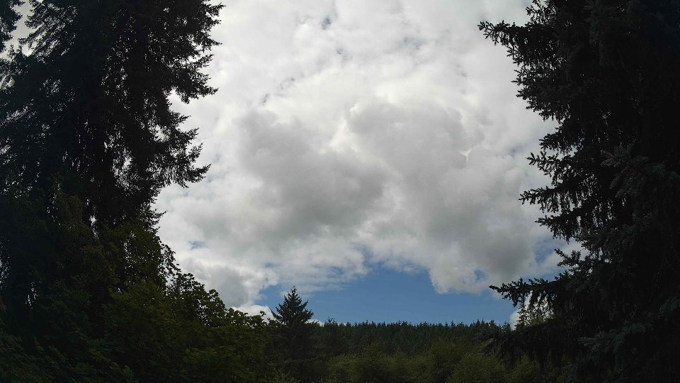 Pacific Northwest skyline timelapse frame from Aug 2nd, 2026 at 12:00 PM