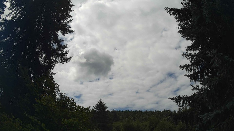 Pacific Northwest skyline timelapse frame from Aug 2nd, 2026 at 12:30 PM