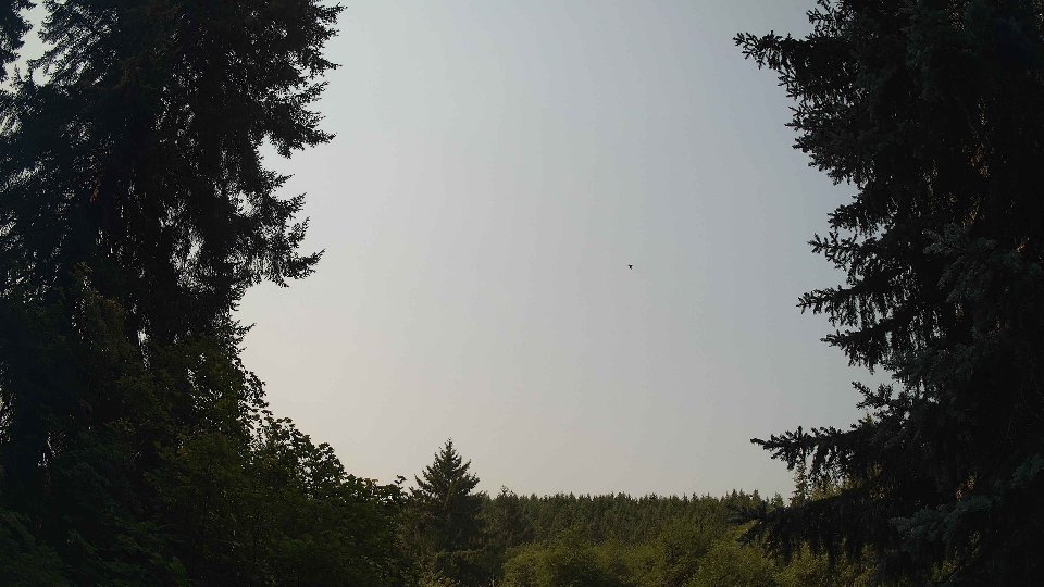 Pacific Northwest skyline timelapse frame from Aug 3rd, 2026 at 11:15 AM