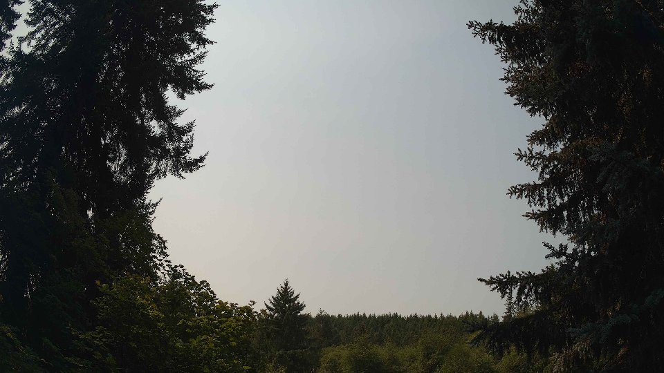 Pacific Northwest skyline timelapse frame from Aug 3rd, 2026 at 11:45 AM