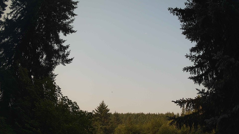 Pacific Northwest skyline timelapse on Aug 4th, 2026 at 8:30 AM