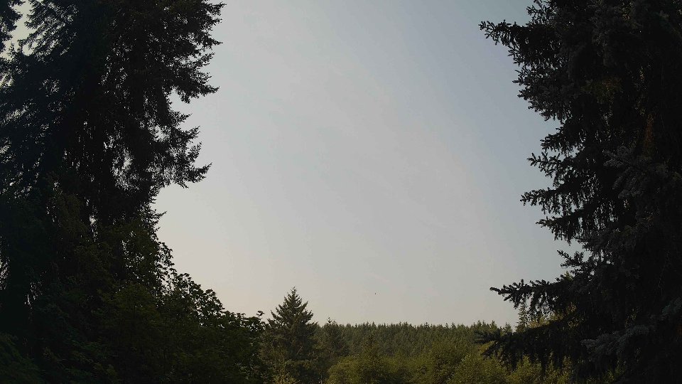 Pacific Northwest skyline timelapse on Aug 4th, 2026 at 10:15 AM