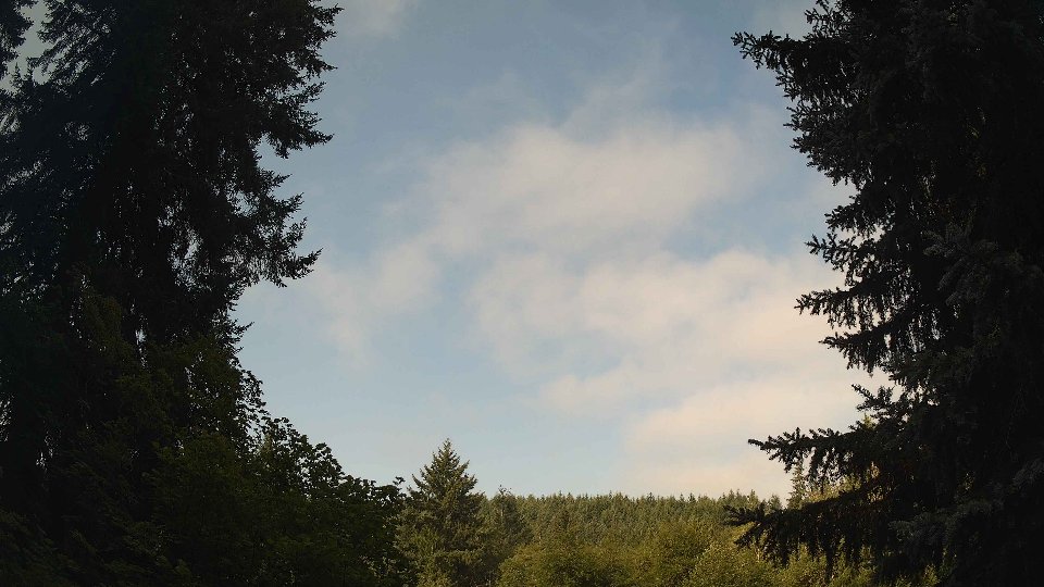 Pacific Northwest skyline timelapse frame from Aug 6th, 2026 at 9:00 AM