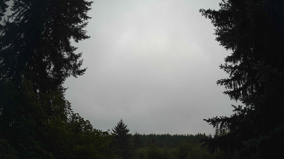 Pacific Northwest skyline timelapse frame from Aug 7th, 2026 at 9:00 AM