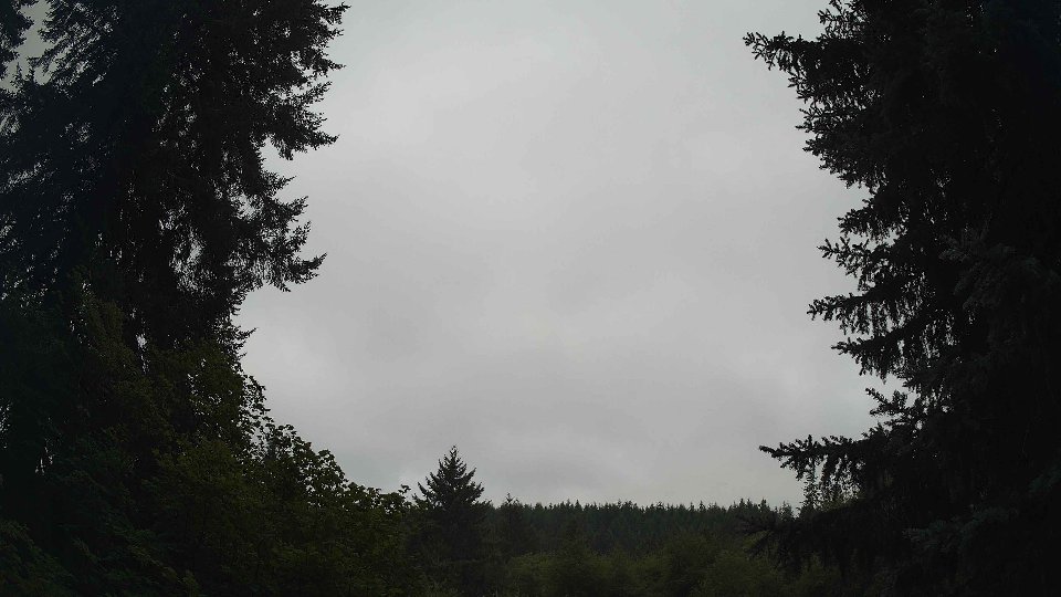 Pacific Northwest skyline timelapse frame from Aug 7th, 2026 at 10:00 AM