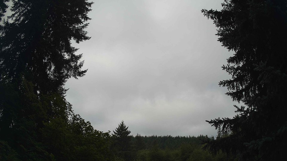 Pacific Northwest skyline timelapse frame from Aug 7th, 2026 at 10:30 AM