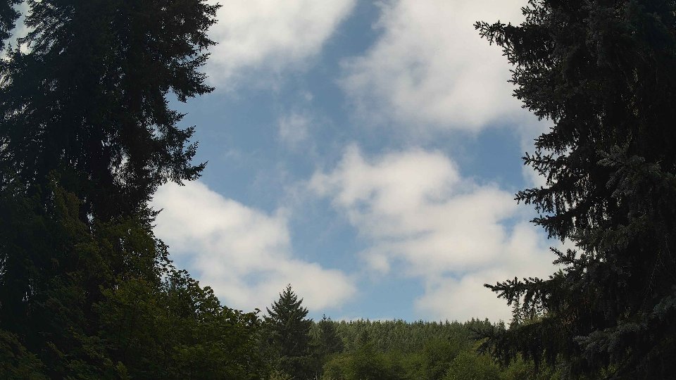 Pacific Northwest skyline timelapse frame from Aug 7th, 2026 at 10:45 AM