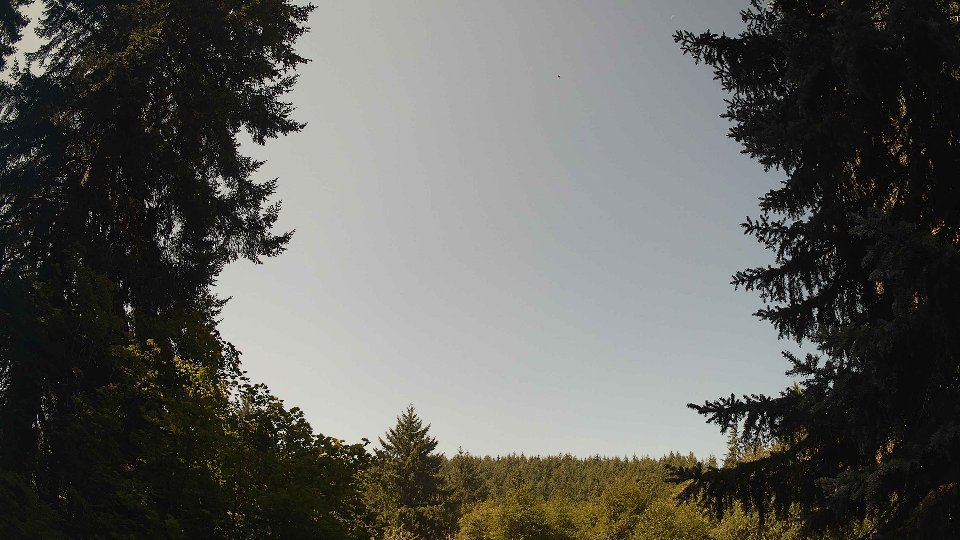 Pacific Northwest skyline timelapse frame from Aug 7th, 2026 at 11:15 AM