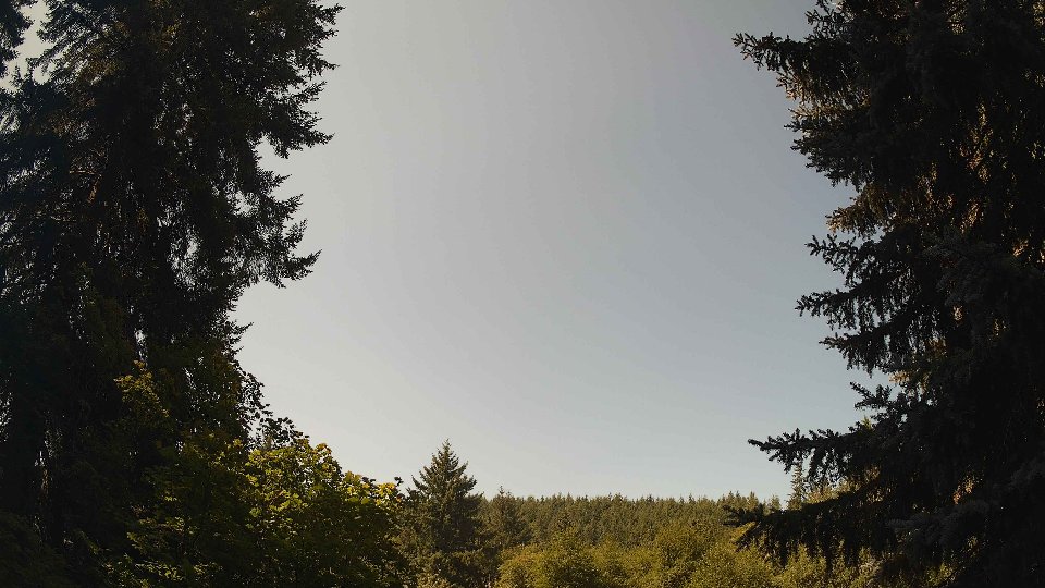 Pacific Northwest skyline timelapse frame from Aug 7th, 2026 at 11:30 AM
