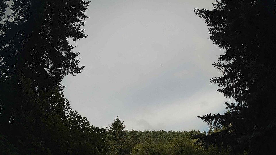 Pacific Northwest skyline timelapse frame from Aug 8th, 2026 at 8:15 AM