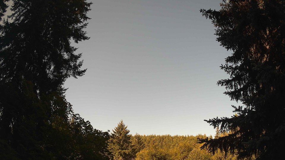 Pacific Northwest skyline timelapse frame from Aug 8th, 2026 at 9:30 AM