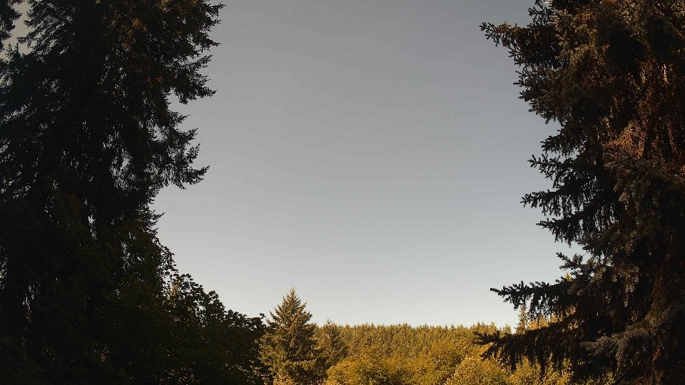 Pacific Northwest skyline timelapse frame from Aug 8th, 2026 at 10:00 AM
