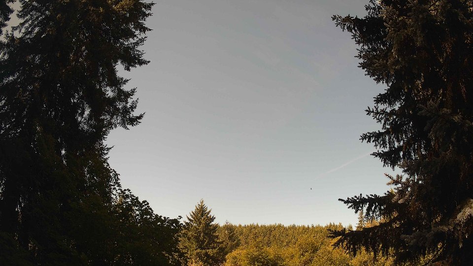 Pacific Northwest skyline timelapse frame from Aug 8th, 2026 at 10:30 AM