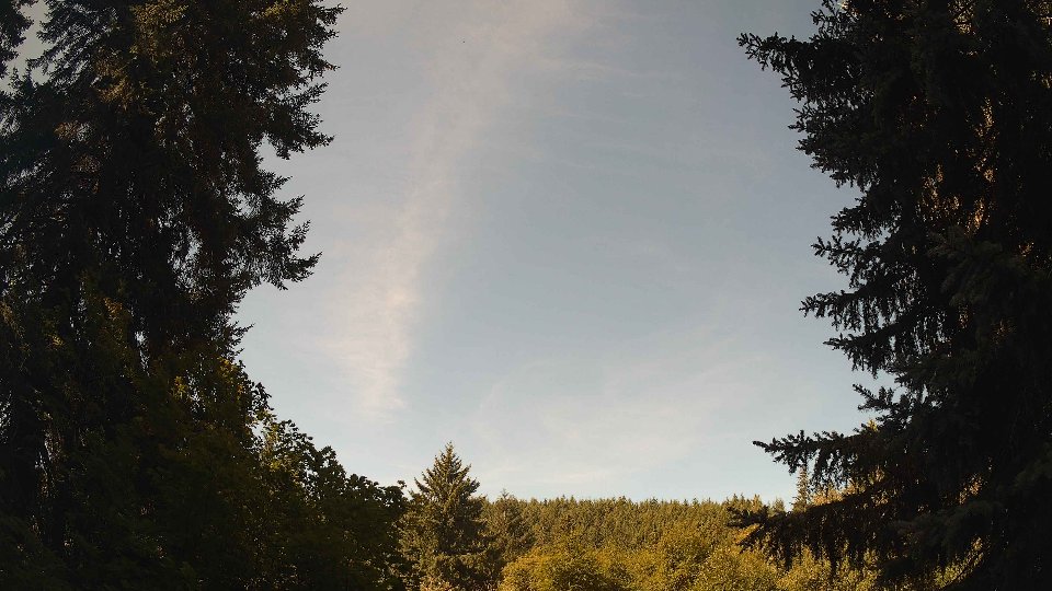 Pacific Northwest skyline timelapse frame from Aug 8th, 2026 at 11:00 AM