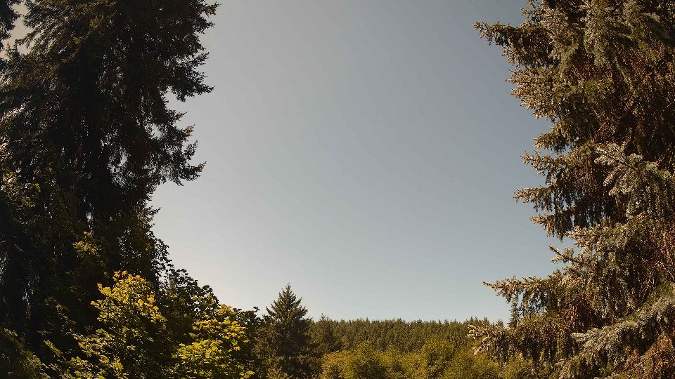 Pacific Northwest skyline timelapse frame from Aug 8th, 2026 at 12:15 PM
