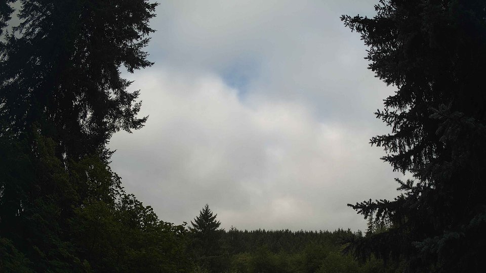Pacific Northwest skyline timelapse frame from Aug 9th, 2026 at 8:15 AM