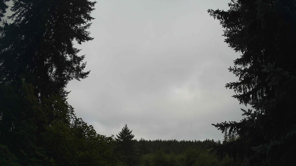 Pacific Northwest skyline timelapse frame from Aug 9th, 2026 at 9:00 AM