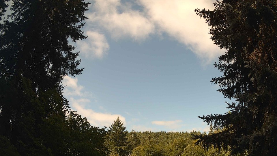 Pacific Northwest skyline timelapse frame from Aug 9th, 2026 at 10:00 AM