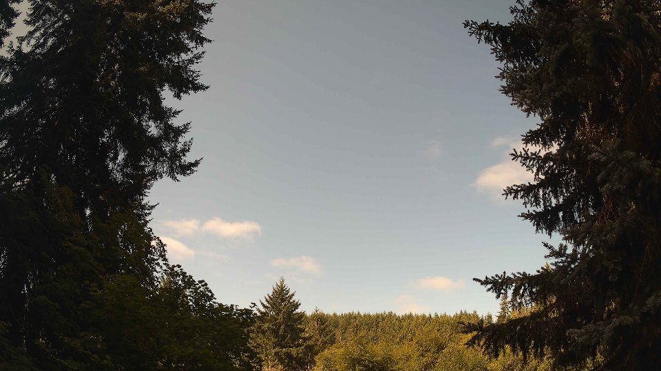 Pacific Northwest skyline timelapse frame from Aug 9th, 2026 at 10:15 AM